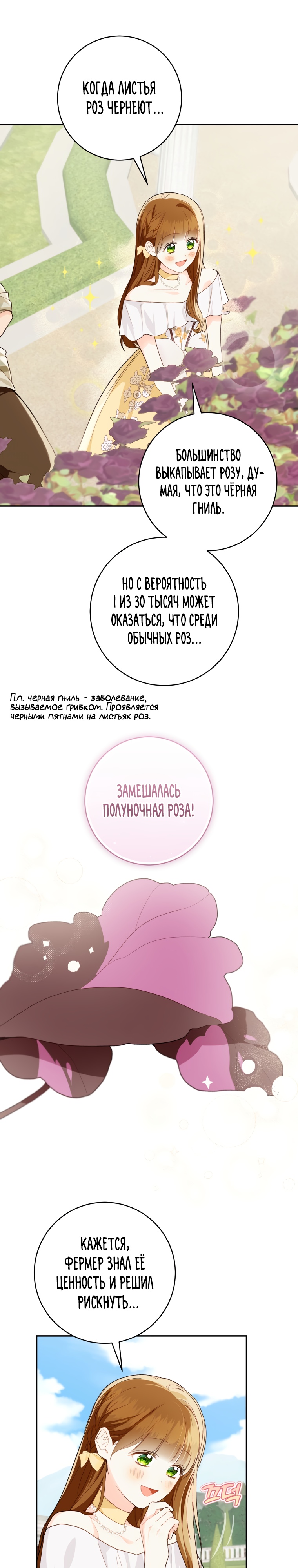 Страница 11 из 24