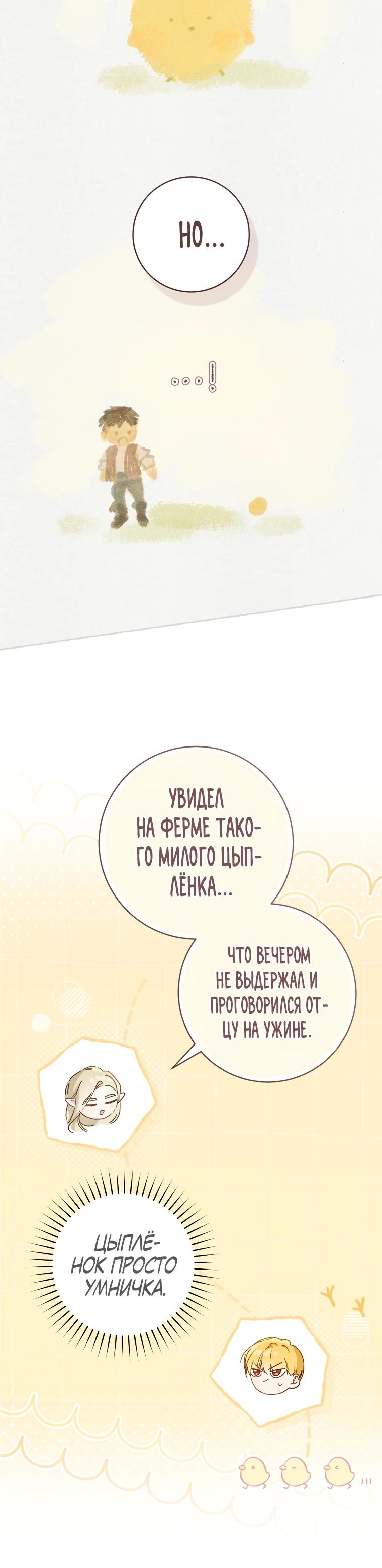Страница 25 из 28