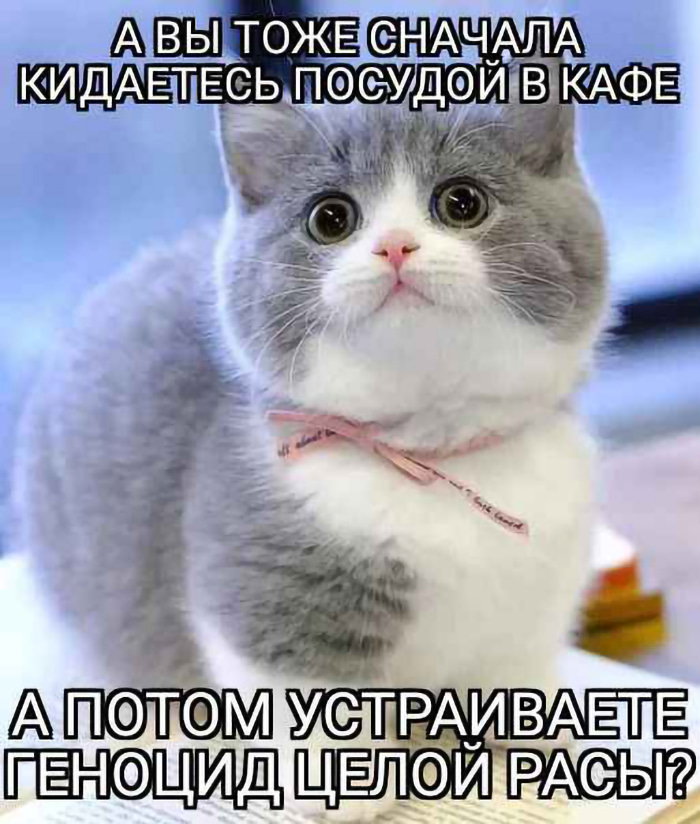 Страница 73 из 73