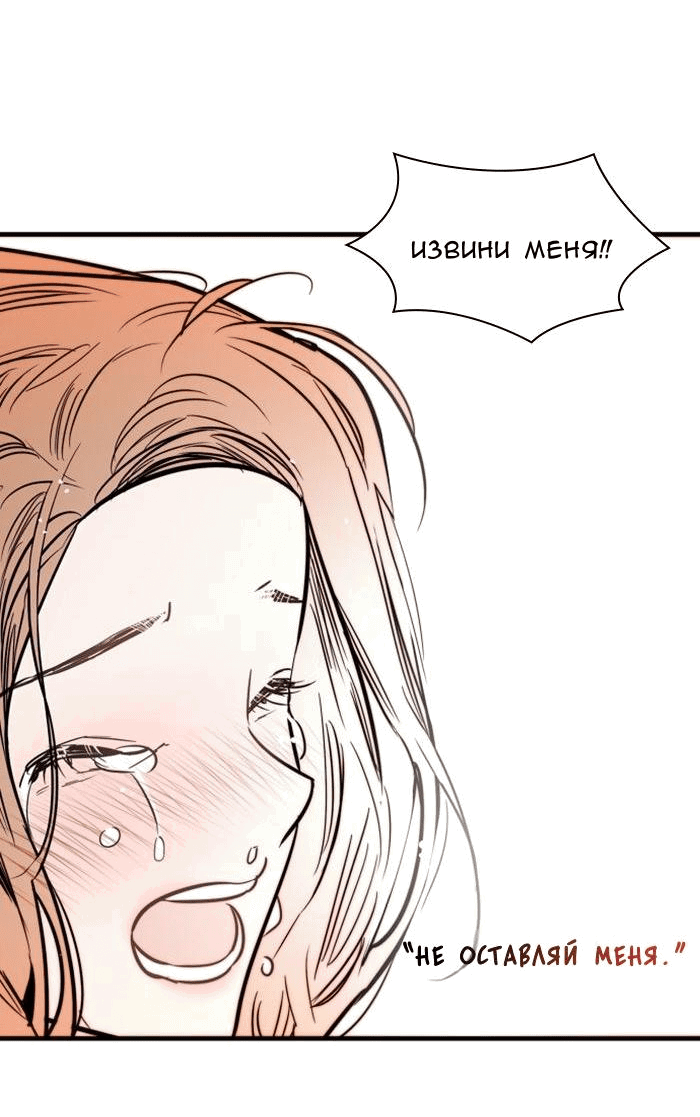 Страница 58 из 62