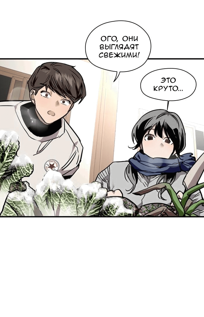 Страница 29 из 47