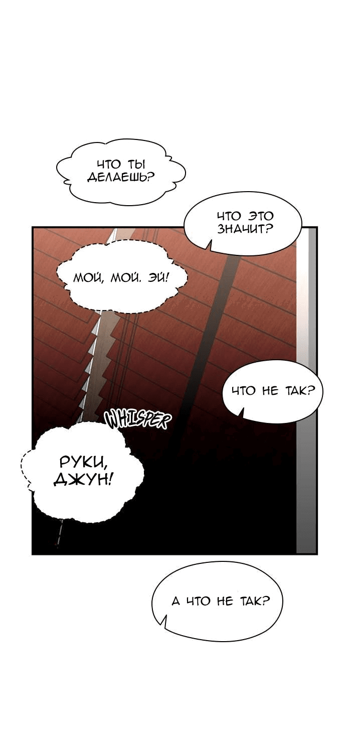 Страница 23 из 52