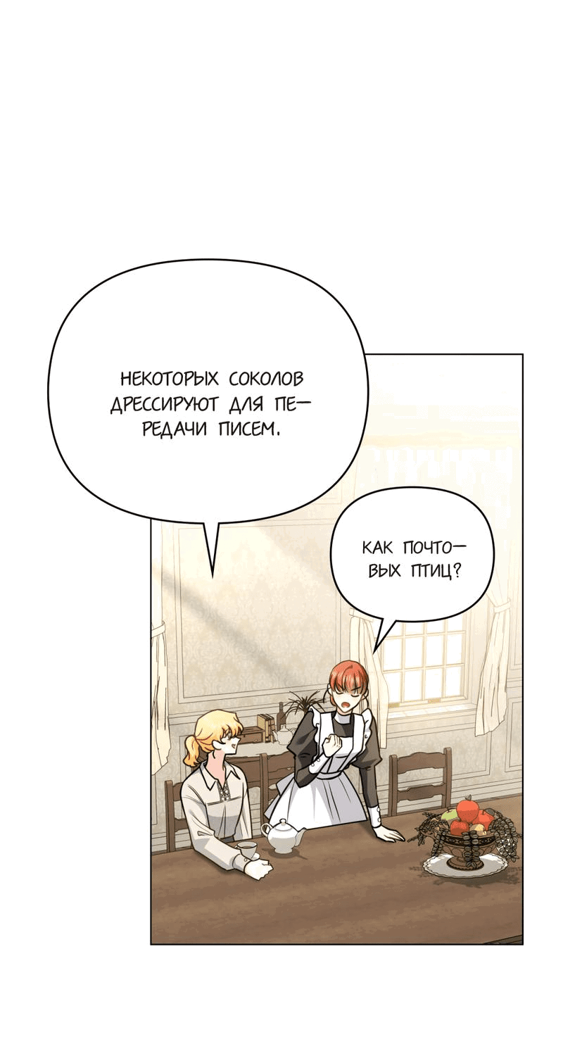 Страница 13 из 44