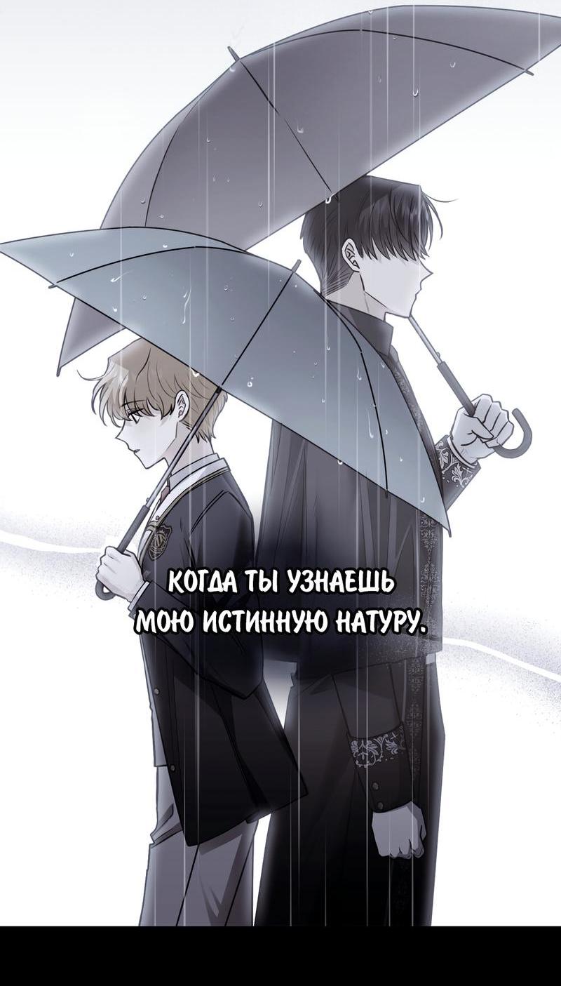Страница 13 из 52