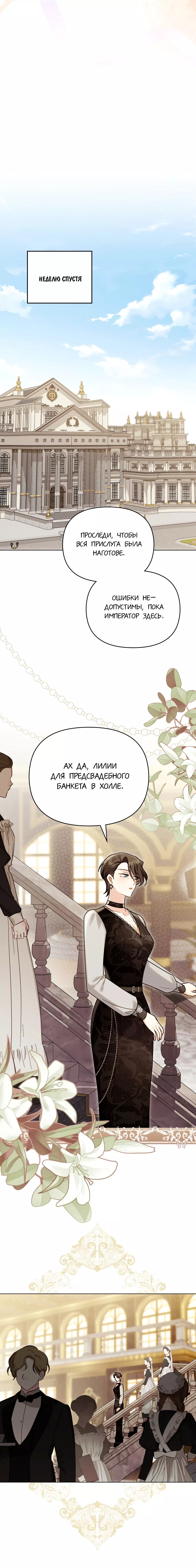 Страница 17 из 21