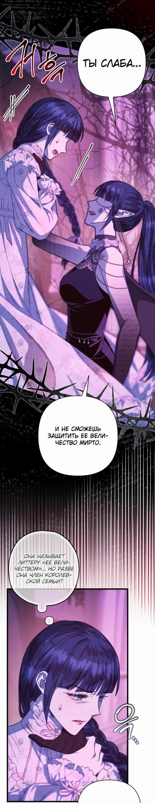 Страница 24 из 52