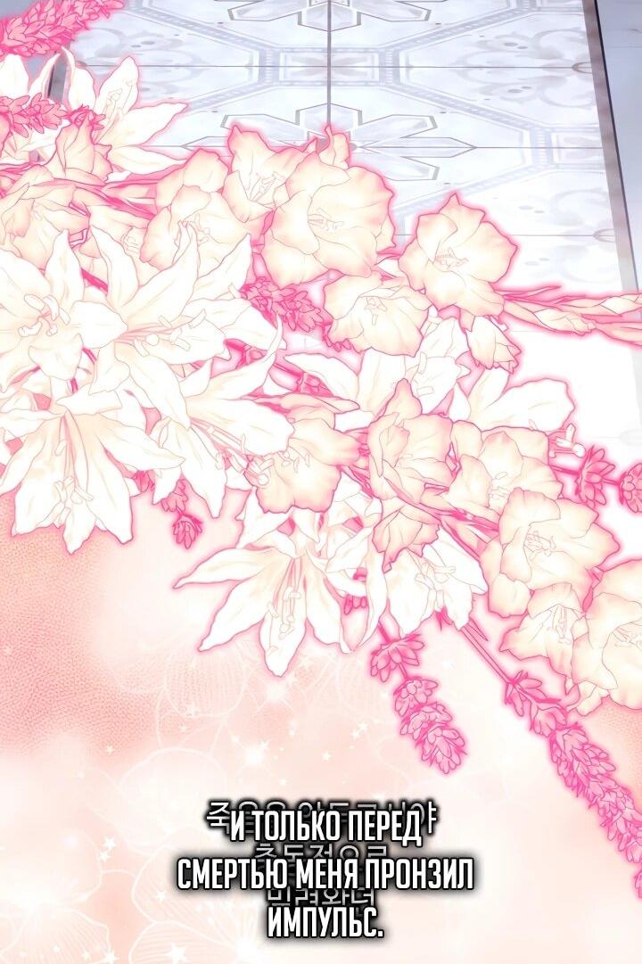 Страница 13 из 55