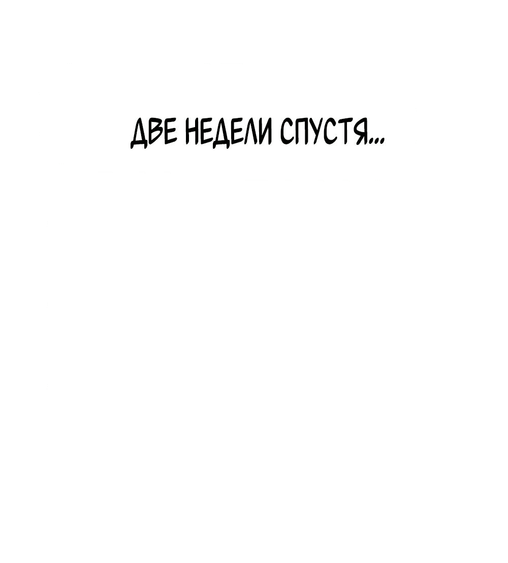 Страница 19 из 47