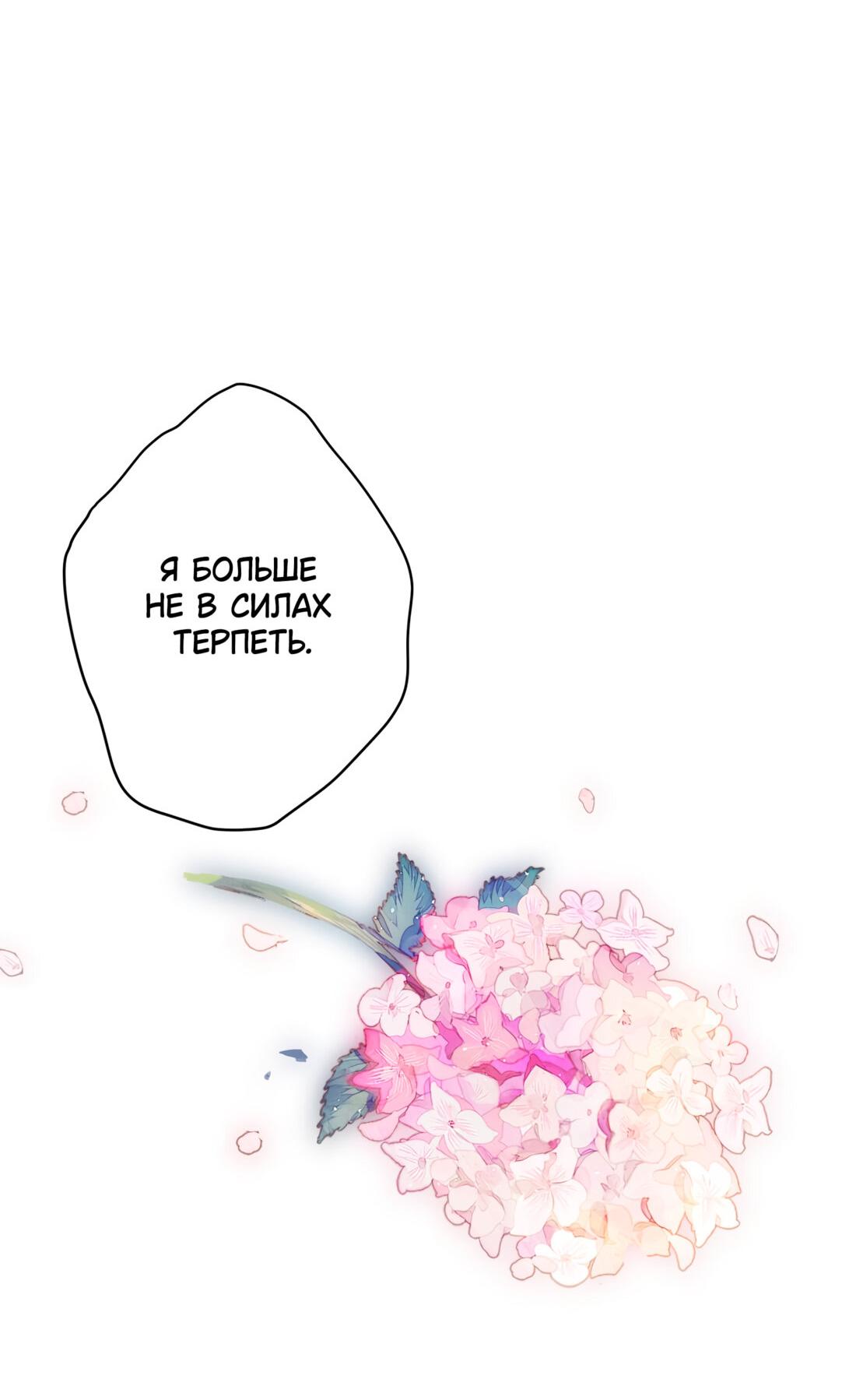 Страница 14 из 46