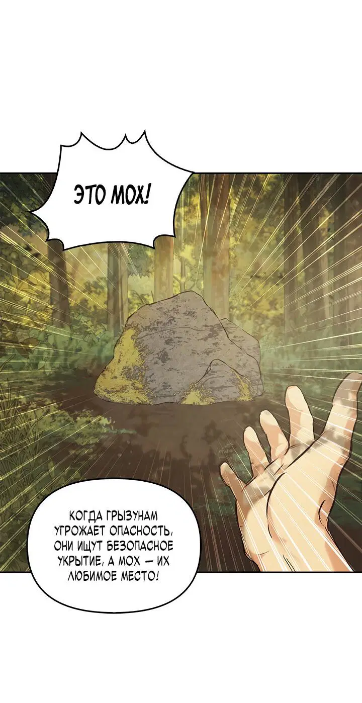 Страница 24 из 69