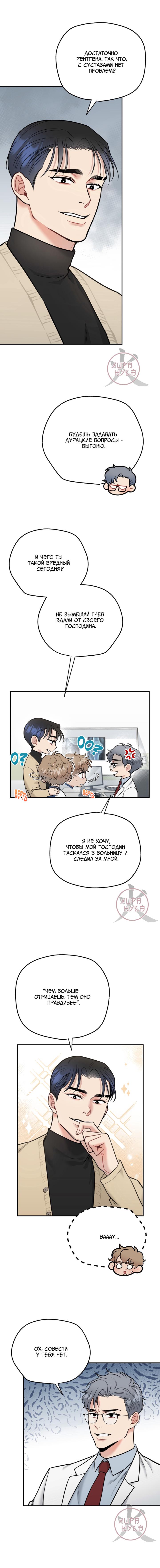 Страница 8 из 17